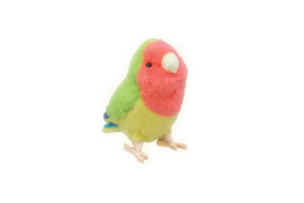 【全品　送料無料！】　オリジナル　ことりのねマスコットコザクラインコ　とり　動物　アニマル　人形　ぬいぐるみ　ドール　おもちゃ　子供　キッズ　インテリア　雑貨　グッズ　かわいい