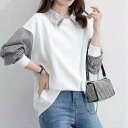 カットソー トレーナー トップス チエック 部屋着 普段着 オシャレ服 お出かけ デート 旅行 大学生 キャンパス ベンチ 大きいサイズ インスタ 撮影★3COLOR★ゆったりめで可愛いレースチエック柄襟で異素材切替のトップス カットソー フリーサイズ F サイズ★フリーダムsale