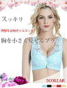 ★サイズ80C~100D★5色★大きいサイズ ブラ ブラジャー 補正 矯正 補正ブラ 矯正ブラ ブラトップ ランジェリー 下着 インスタ 撮影 ★ブラジャー 大...