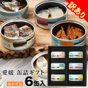 訳ありCanpachi 缶詰ギフト6缶 アウトレット 在庫限り 生産終了 愛媛産 おすすめ 手作り 箱入り 国産 高級缶詰