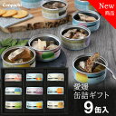 Canpachi 缶詰ギフト 愛媛産 おすすめ 缶詰9点セット 手作り 箱入り 手提げ袋付 高級缶詰 国産 夏 お中元 お歳暮 お返しに