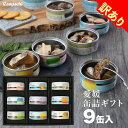 訳ありCanpachi 缶詰ギフト9缶 アウトレット 在庫限り 生産終了 愛媛産 手作り 箱入り 高級缶詰 国産