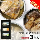 訳あり Canpachi 缶詰ギフト 愛媛産 天然真鯛 3種 食べ比べ 詰め合わせ ギフト 手作り 箱入り 高級缶詰 国産