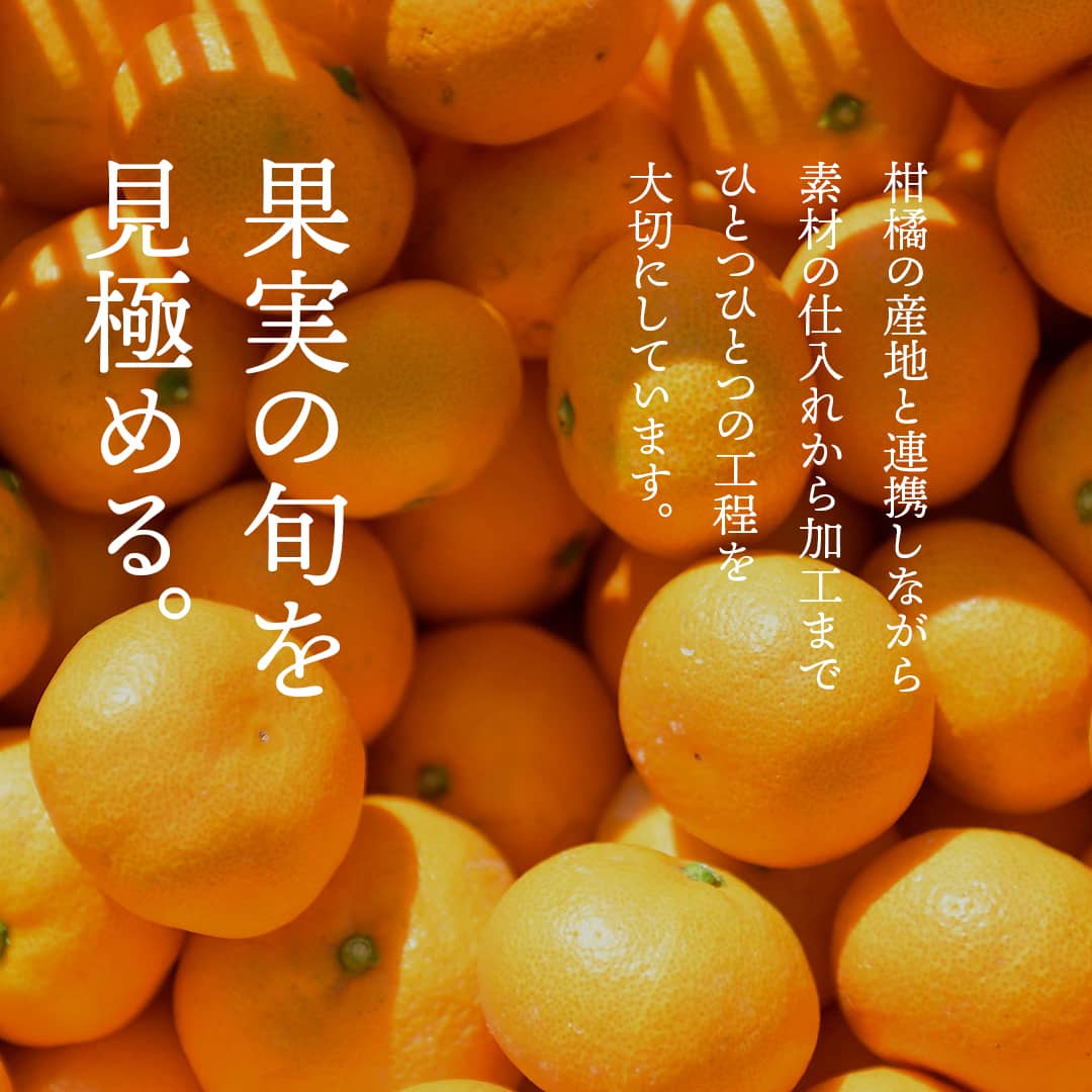10FACTORY 愛媛 みかん ドライフルー...の紹介画像3