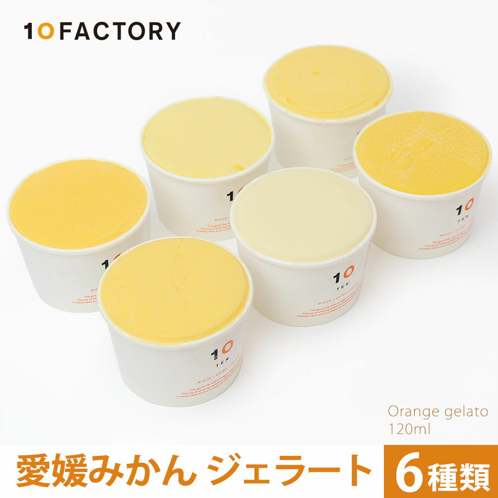 10FACTORY 愛媛 みかん ジェラート 6個入 (120ml x6) 愛媛産みかん【送料無料 / クール便でお届け】 無添加 国産 オレンジ ラクト アイス フルーツ 夏 贈答 内祝い お返し プレゼントに