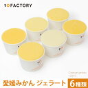 10FACTORY 愛媛 みかんジュース専門店が作った ジェラート 6個入 (120ml x6) 愛媛産みかん【送料無料 / クール便でお届け】 無添加 国産 オレンジ ラクト アイス フルーツ 夏 贈答 内祝い お返し プレゼントに