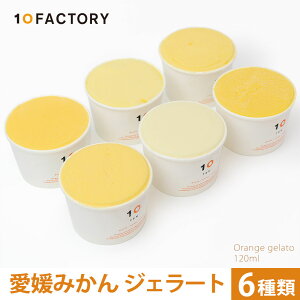 10FACTORY 愛媛 みかん ジェラート 6個入 (120ml x6) 愛媛産みかん【送料無料 / クール便でお届け】 無添加 国産 オレンジ ラクト アイス フルーツ 夏 贈答 内祝い お返し プレゼントに