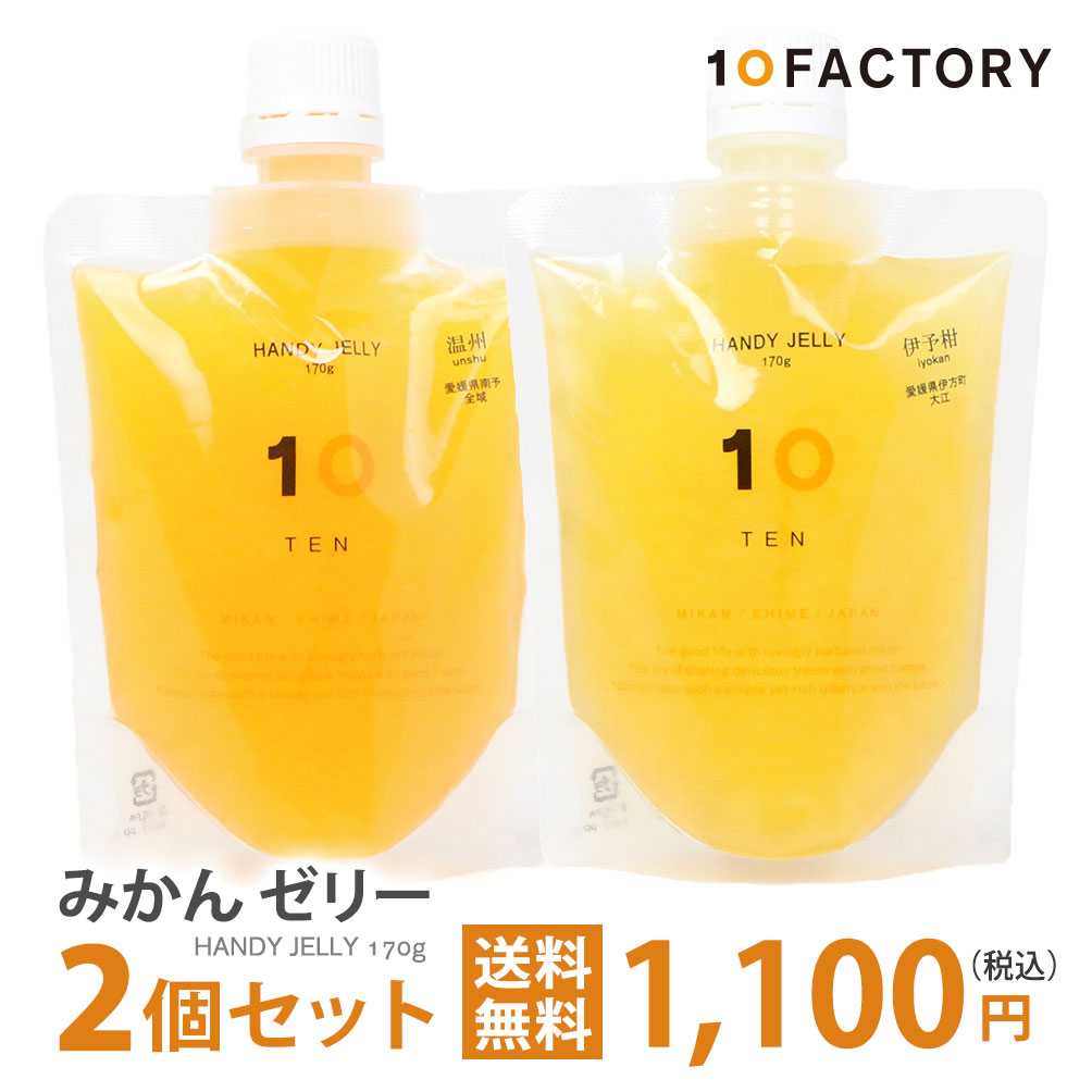 10FACTORY 愛媛 みかん ゼリー 2個セット 送料無料 愛媛産 170g 無添加 国産 フルーツゼリー 飲むゼリー