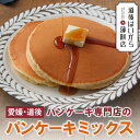 愛媛・道後 パンケーキ専門店のパンケーキミックス 238g 119g入2袋・4食分 グルテンフリー ホットケーキミックス アルミフリー 送料無料 ネコポス 愛媛・道後はいから薄餅店