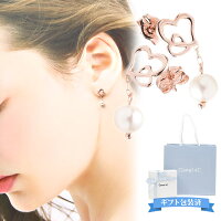 【BOXデザイン対応】【正規紙袋 無料】 4°c ピアス ヨンドシー カナルヨンドシー canal4℃ レディース K10ピンクゴールド ダブルハート ピンクゴールド 151346553112 PINK GOLD 正規品 新品 シンプル ブランド 新品 新作 2021年 ギフト プレゼント 4度 c
