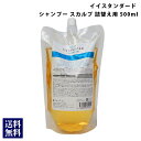 イイスタンダード イースタンダード シャンプー スカルプ 詰め替え 500ml E STANDARD スカルプケア 美容成分配合 天然由来成分 保湿 香り ヘアケア