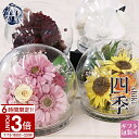 【P3倍】花 プリザーブドフラワー 和風 ガラスドーム ケース入り ガラス 還暦 薔薇 ローズ 胡蝶蘭 季節のお花 アレンジメント ガラスケース プチ 枯れない...