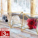 【P3倍】花 プリザーブドフラワー アレンジ アンティーク 開店祝い 結婚記念日 小 ミニ ボックス 雑貨 家具 インテリア メッセージ入り 白 クリアケース ケース