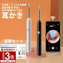 【P3倍】耳かき カメラ カメラ付き【耳掻き8本&2000万画質】3.5mm極細レンズ LEDライト搭載 左右反転機能 スマホ耳かき 録画 写真 耳掃除 Type-C充電 専用APP iOS/Android/iPad多機種対応 お年寄り 子供 取り付け簡単
