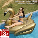 【P3倍】【サマーセール】2025 浮き輪 フロート 大人 子供 フラミンゴ ゴールドスワン 海水浴 砂浜 川 アウトドア 夏 レディース でかい ビックサイズ かわいい 大きいサイズ うきわ 白鳥 インスタ