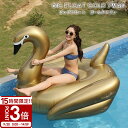 【P3倍】【サマーセール】2025 浮き輪 フロート 大人 子供 フラミンゴ ゴールドスワン 海水浴 砂浜 川 アウトドア 夏 レディース でかい ビックサイズ かわいい 大きいサイズ うきわ 白鳥 インスタ