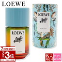 【P3倍】LOEWE ロエベ ロエベ香水 ウーマン フレグランス 香水 パウラズ イビザ オードゥ トワレ EDT 50ml パルファム