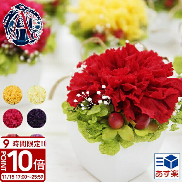 【P10倍】花 プリザーブドフラワー カーネーション 一輪 赤 枯れない プチ 祝電 電報 プロポーズ 開店祝い 喜寿 祝い 仏花 ミニ お供え お悔やみ 還暦祝い ブリザーブドフラワー ブリザードフラワー