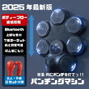 パンチング マシン 音楽再生 家庭用 ダイエット パンチングマシン ミュージック ボクシングマシン パンチングマシーン ライト Bluetooth トレーニング ストレス解消 発散 室内 練習用具 子供 男性 女性 ボクシング フィットネス エクササイズ