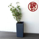 【訳アリ品】プランターポット 大きめ 細長い スリム プランター おしゃれ グレー 店舗用 多肉植物 グリーン お店 店舗装飾 オフィス用 送料無料 鉢 素焼き風 軽量 ガーデン ガーデニング ガーデン雑貨【送料無料】ファイバークレイ プランター(S)
