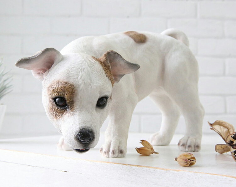 犬 いぬ わんこ 子犬 パピー ワンコ イッヌ　アンティーク調 置物 ジャックラッセルテリア 掛けられる 犬好き おしゃれ ディスプレイ 店舗装飾 オブジェ インテリア雑貨 かわいい 贈り物 誕生日 プレゼント ギフトパピー・ジャック テリー