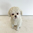 犬 置物 トイプードル パピー 子犬 オブジェ トイプー アニマル オーナメント ワンコ 犬雑貨 おしゃれ ワンちゃん ワンコグッズ アンティーク ユーモア レトロ インテリア雑貨 プレゼント 贈り物 ギフト 玄関オブジェ【送料無料】パピー トイプー(3)