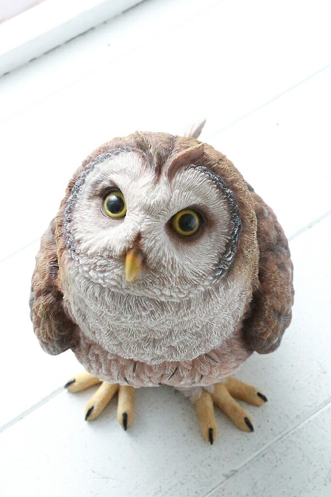 Rakuten - ふくろう フクロウ 梟 フクロウの置物 アンティーク 置物 おしゃれ 縁起の良い ディスプレイ 店舗装飾 オブジェ インテリア雑貨 かわいい 贈り物 誕生日 プレゼント ギフト 不苦労 福を呼ぶ 幸せ【送料無料】ステアー・オウル