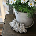 鉢 プランター 花器 花瓶 フラワーベース フラワースタンド 陶器 うさぎ ウサギ 可愛い 兎 おしゃれ ポット pot 玄関 リビング インテリア 【送料無料】スリーピングラビット ポット&ソーサー