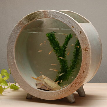 メダカ 水槽 おしゃれ メダカ鉢 鉢 メダカ入れ 金魚鉢 陶器 水そう 水鉢 信楽焼 陶器 ガラス 陶水槽 おしゃれ 和風モダン ビオトープ【送料無料】信楽焼 白金彩丸水槽(大)