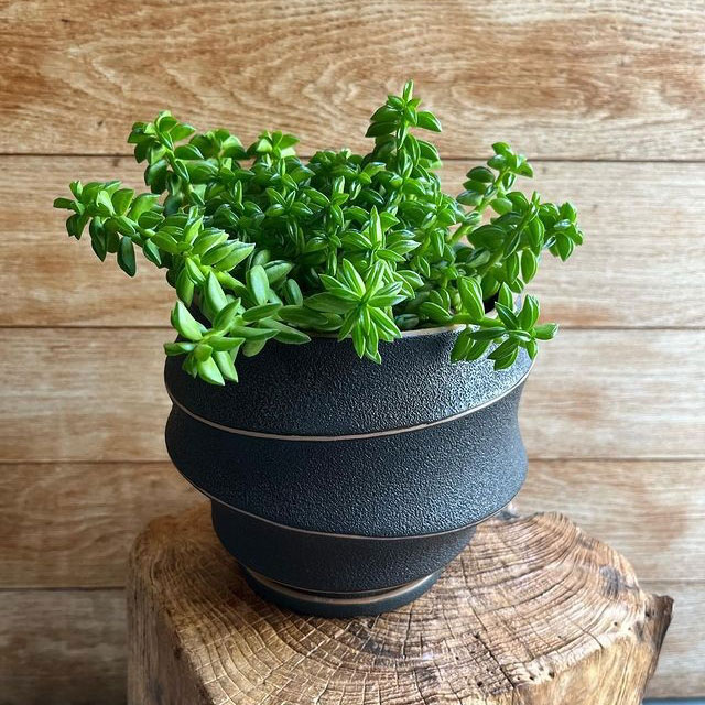 Rakuten - プランター 鉢カバー プランターカバー おしゃれ ナチュラル ブラック モダン プランター鉢 個性的 ディスプレイ シンプル 鉢 ガーデニング シャビー ガーデン雑貨 3.5号鉢用【送料無料】Lava Pot（3.5号鉢用）