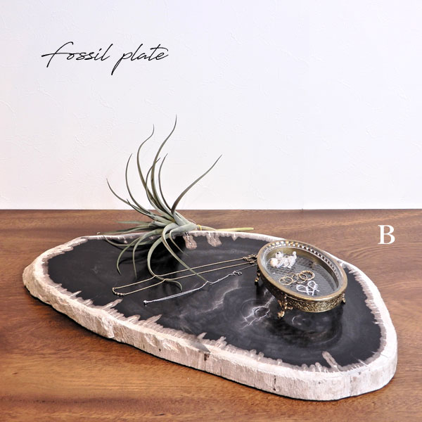 Rakuten - ディスプレイプレート おしゃれ ディスプレイ オブジェ ペトリファイドウッド トレー 台 パワーストーン アクセサリー ショップ 店舗 インテリア雑貨 撮影小物 ギフト プレゼントプレート 珪化木 けいかぼく 木 化石化 【送料無料】フォッシルプレート B