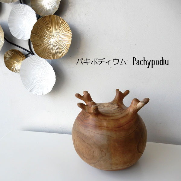 Rakuten - ウッドオブジェ オブジェ 花台 飾り台 ディスプレイ WOOD パキポディウム Pachypodium おしゃれ インテリア雑貨 新築祝い 開店祝い 贈り物 プレゼント 玄関 リビング モデルハウス ショップ【送料無料】パキポデコ　A