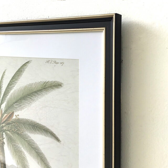 �����ȥݥ����� �����ȥѥͥ� �ե졼���դ� ���դ� �ܥ��˥��� ��ʪ ������ ����ƥꥢ ������ �ʥ����� �̲� �ɳݤ� �۳� �۱�ե졼�� ��ȥ� ����ƥ����� �ӥ�ơ��� �ץ쥼��� £��ʪ 65��85������̵���ۥܥ��˥��륢����D