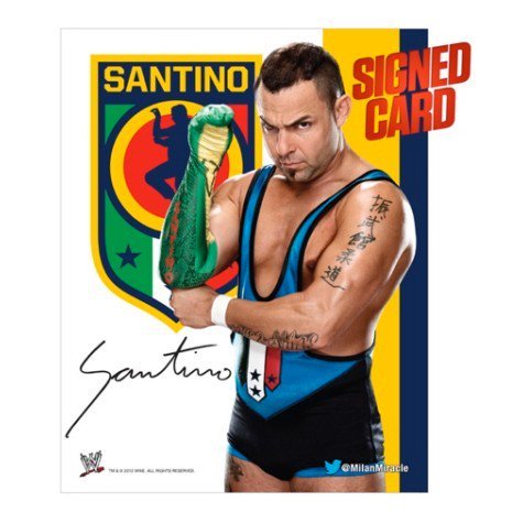 サンティーノ・マレラ直筆サイン入りフォト WWEスーパースター・サンティーノ直筆サイン入りフォト Santino Signed PhotoWWEスーパースター・サンティーノ・マレラの直筆サイン入り大きめフォトです。（光沢無しタイプ）直筆サイ...