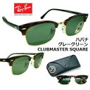 Ray-Ban Co TOX RB3916-1304/31  Y 52mm y N[| l z Ki [J[ۏ؏t Nu}X^[XNGA noiuE O[O[ S[h  uh UVJbg hCu lC