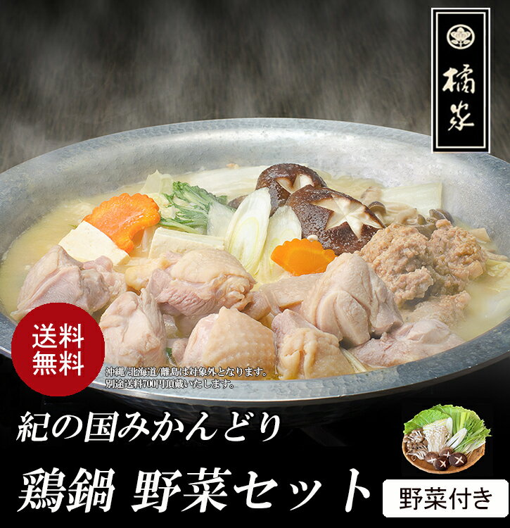 【送料無料・博多水炊き風鍋】鶏鍋