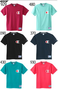 Tシャツ/半袖/メンズ/チャンピオン/champion/ガーメントウォッシュ/トレーニング/ジム/スポーツ/カジュアル/ウェア/男性用/ロゴ/プリントT/クルーネック/半そで/T-SHIRTS/全6カラー/C3F362/正規品/C3-F362