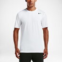 Tシャツ 半袖 メンズ ナイキ NIKE DRI-FIT レジェンド S/S TEE スポーツウェア 自宅トレーニング ジム ランニング ジョギング 男性用 半袖シャツ トップス/718834-100