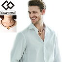 【正規販売店】磁気ネックレス コラントッテ Colantotte メンズ レディース/健康アクセサリー 首肩の血行改善 首のコリ 肩コリ おしゃれ ボディケア ...