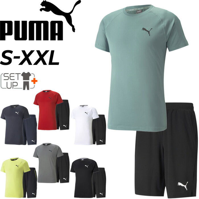 トレーニングウェア 上下 セットアップ メンズ プーマ PUMA RTG 半袖Tシャツ ハーフパンツ/スポーツウェア 上下組 ランニング フィットネス ジム 男性 2点セット 運動/588926-588919