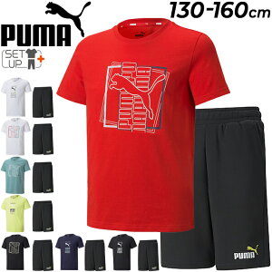 キッズ 上下 セットアップ 130-160cm 子供服/プーマ PUMA ジュニア 半袖Tシャツ ハーフパンツ/スポーツウェア 子ども 男の子 2点セット 運動 男児 小学生/849674-589116