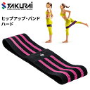 フィットネス用品 SAKURAI erugam エルガム トレーニングバンド (ハード)/ヒップアップバンド ゴムバンド エクササイズ 運動 筋トレ 家ジム 自...