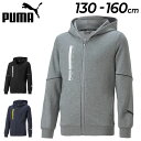 LbY p[J[ XEFbg 130-160cm q/v[} PUMA ACTIVE SPORTS {[CY WPbg/tWbv t[fB X|[cEFA qǂ JWA XGbg j ^ ʊw/672644