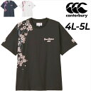 送料無料 カンタベリー 半袖 Tシャツ 4L 5L ユニセックス 大きいサイズ ラグビー canterbury ジャパン S/Sスペクテーターティー ビッグサイ...