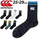 J^x[ C Y \bNX 25-29cm canterbury ~h X|[eB JWA S j amp /AS02167