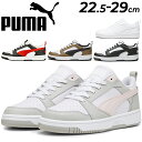  v[} Xj[J[ Y fB[X  PUMA oEh V6 E X|[eB JWA V[Y [Jbg C/392328