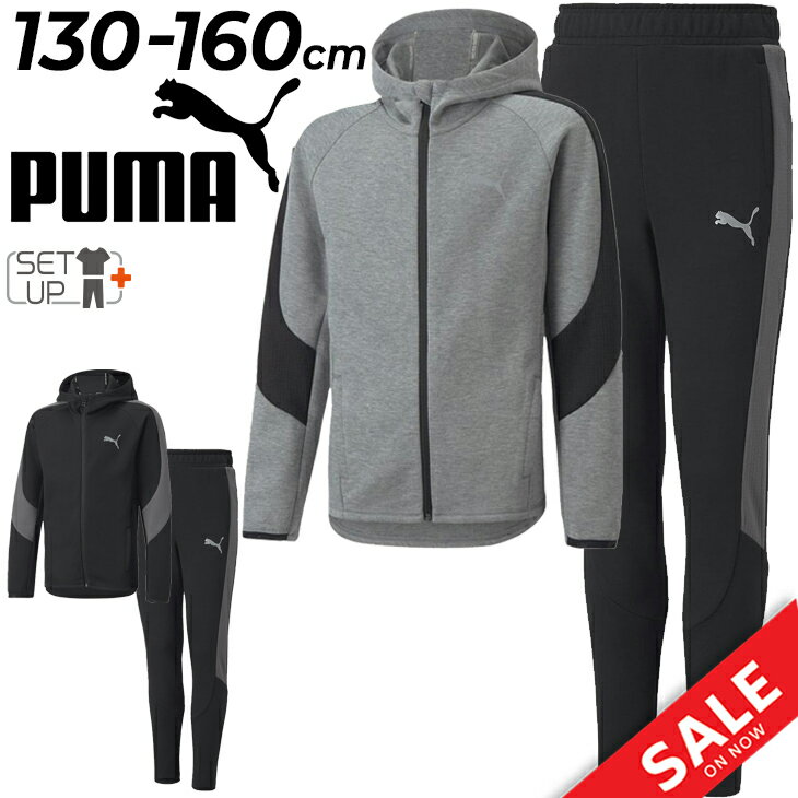  v[} LbY XEFbg ㉺ WjA j̎q PUMA EVOSTRIPE WPbg pc ㉺g 130cm 140cm 150cm 160cm q ZbgAbv LbYEGA X|[cEFA qǂ ǂ j  ubN O[ uh X|[cAp/672623-672630ypu22pdz