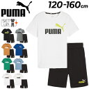 プーマ キッズ 半袖Tシャツ ハーフパンツ 上下 2点セット PUMA ジュニアウェア セットアップ 120cm 130cm 140cm 150cm 160cm...