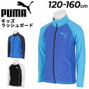 プーマ キッズ ジュニア 長袖 フルジップラッシュガード PUMA 子ども スイムウェア 120cm 130cm 140cm 150cm 160cm UVカット...