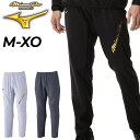 送料無料 ミズノ トレーニングパンツ メンズ ユニセックス ジャージ mizuno ミズノプロ テックシールドパンツ 限定カラー ロングパンツ 野球 スポーツウ...